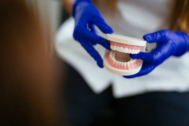 Best Dental Exams and Cleanings  in Freeburg, IL